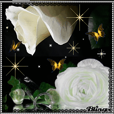 ▷ Gif de rosas blancas