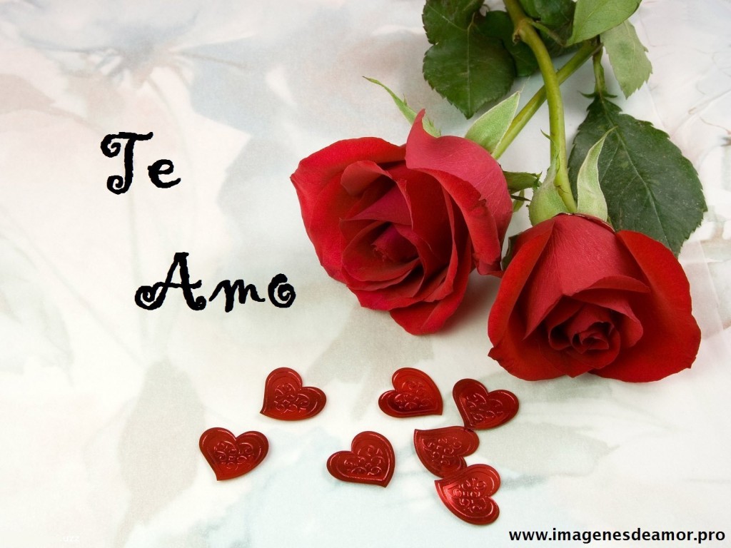 Imágenes de rosas que digan te amo