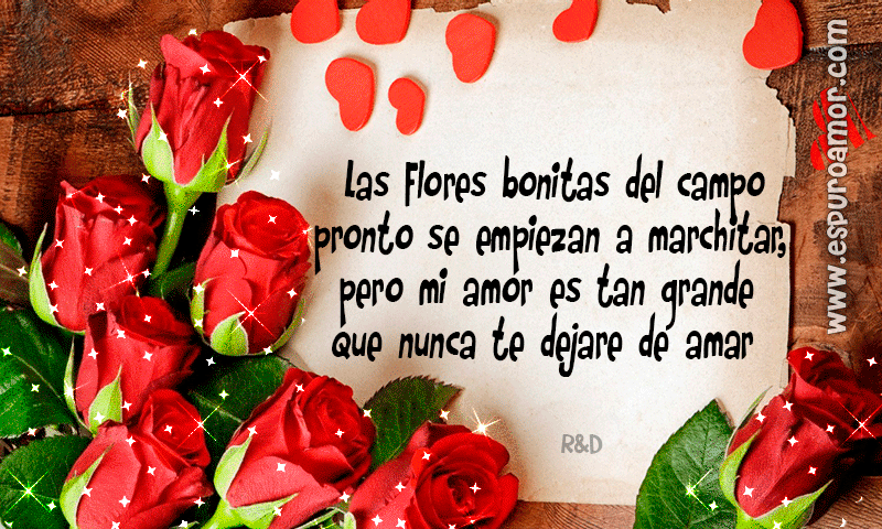 flores para mi amor