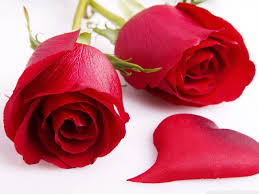 rosas rojas para mi amor