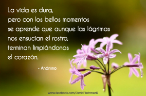 imagenes-con-frases-motivadoras-de-la-vida-5