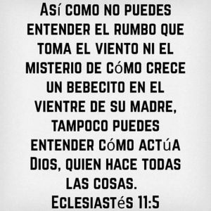 FB_IMG_1449317212469