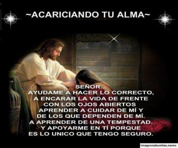 acaricia