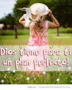 dios-tiene-para-ti-un-plan-perfecto