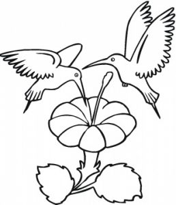two-hummingbirds-eats-coloring-page.gif
