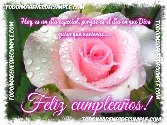 imagenes-de-feliz-cumpleanos-hermana-con-flores-jpg-9