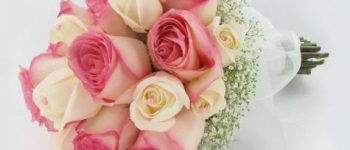 Imágenes de tipos de ramos de rosas para primer sacramento lindos 