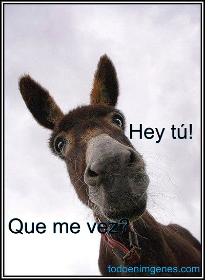 Imágenes que digan hey tú que me vez para compartir