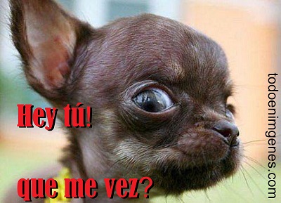 Imágenes que digan hey tú que me vez para compartir