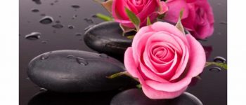 Imágenes Mosaicos de rosas para descargar